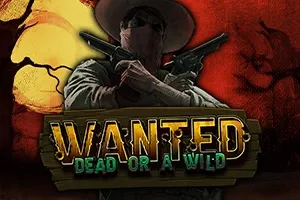 Imagem do slot demo Wanted Dead or Wild